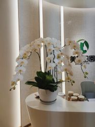 -美丽田园