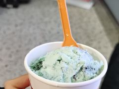 -iceason爱茜茜里·意大利健康冰淇淋(骑龙巷店)