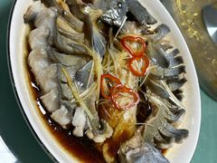 -煲来饱去冷水鱼