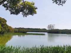 -沙家浜风景区