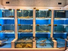 -赶海部落海鲜城(海阳路店)