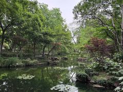 -秋霞圃