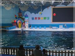 -蓬莱欧乐堡海洋极地世界