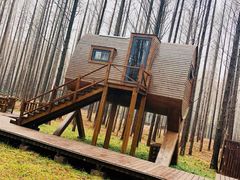 游乐设施-黄海国家森林公园