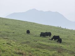 -灵山