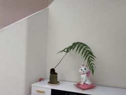 -WENDY·温迪皮肤管理