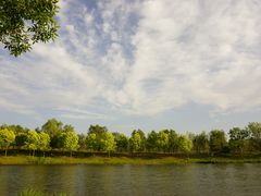 -东郊湿地公园