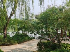 -北坞公园
