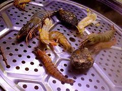 -福泉海码头(六里山店)