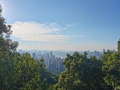-南山植物园