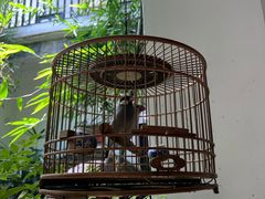 -31号公馆(黄兴广场白果园店)