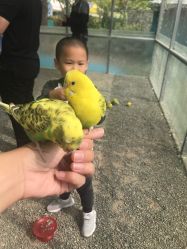 -萌宠亲子动物乐园(槐房万达店)