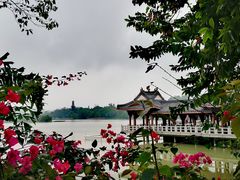 -惠州康帝国际酒店
