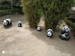 -亚龙湾国际玫瑰谷