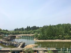 -鄱阳湖国家湿地公园