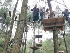 -梦幻奥陶纪景区