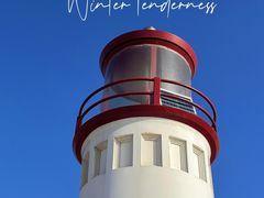 -巧克力渔家.小船海鲜家常菜(万平口店)