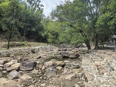 -广州白江湖森林公园