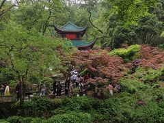 -岳麓山风景名胜区