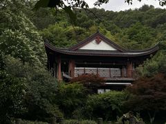 -十八棵（老龙井）御茶园(老龙井店)