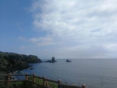 -涉地可支