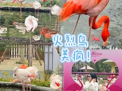-灵玲国际马戏城