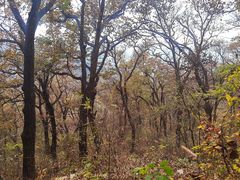 -终南山南五台景区