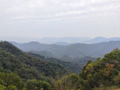 -西湖风景区十里琅珰-五云山