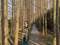 -上海长兴岛郊野公园