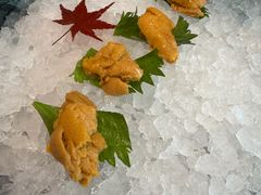 -月龍吟(朝龙汇店)