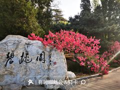 -国家植物园