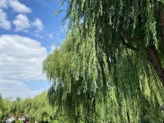 -济南大明湖景区