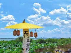 -七的湖·晚芳亭·阳澄湖农家菜·大闸蟹(莲花岛店)