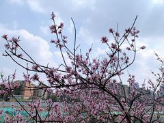 -望江楼公园