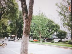 -西北湖绿化广场