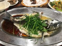 -华信美食