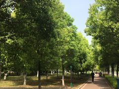 -汉江湾体育公园