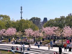 -新江湾城公园