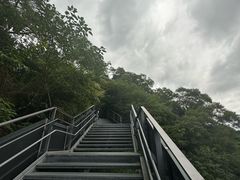 -福道