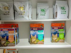 -青奢宠物·青奢猫舍