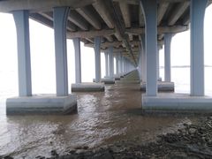 -宝安西湾红树林湿地公园