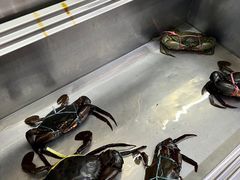 -明记烧鱼美味店