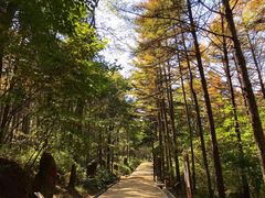 -洛阳白云山景区