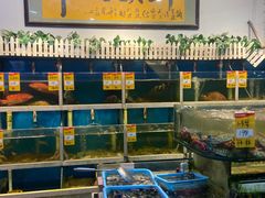 -鑫悦楼煎蟹·16年海鲜大排档