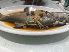 破布子午鱼-光头匠