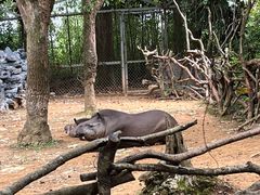 -杭州野生动物世界