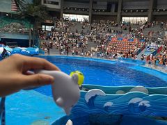 -海合安成都极地海洋公园