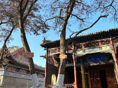 -张掖大佛寺景区