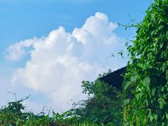 -观澜山水田园