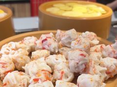 -龍歌自助小火锅(漳州二路爱购店)